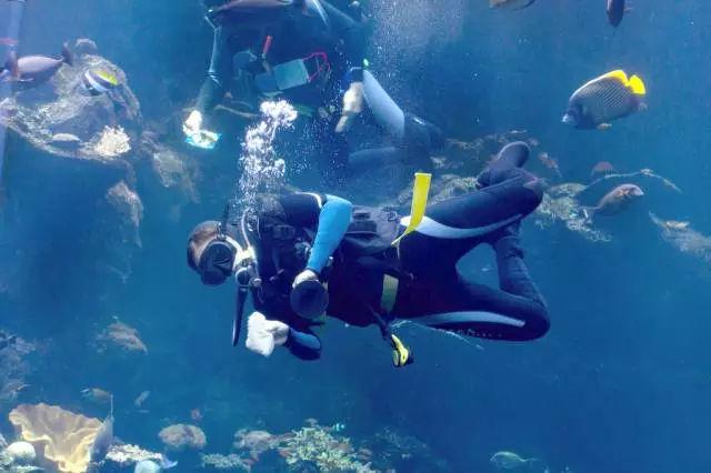 了解乳胶漆的甲醛多久可以挥发完毕知识星球,探索无限知识宇宙
